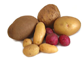 Types of Potatoes